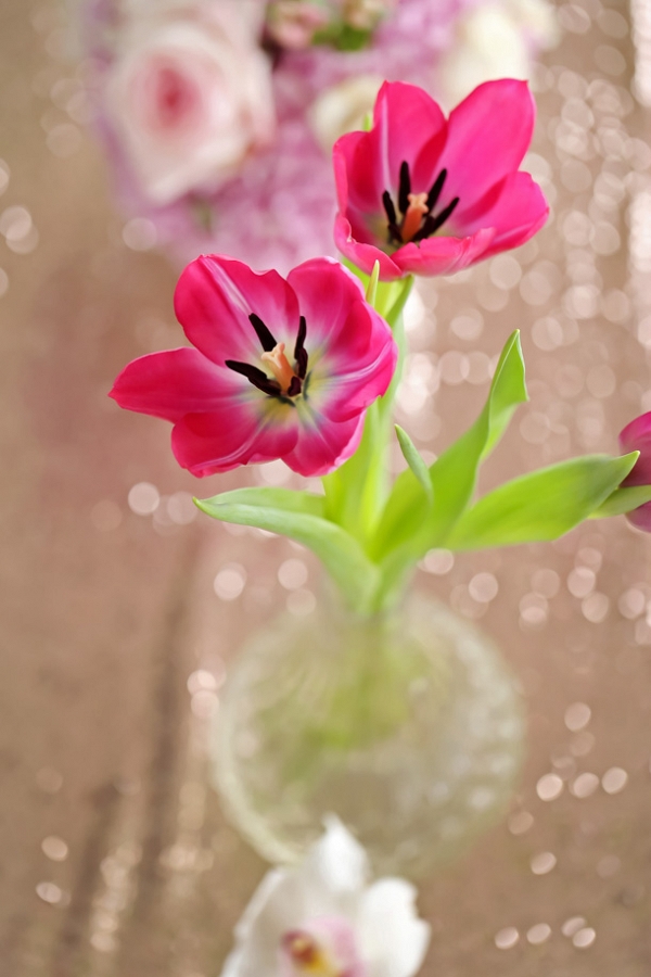 Tulip centerpiece