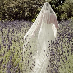 Bride in Field of Lavender
