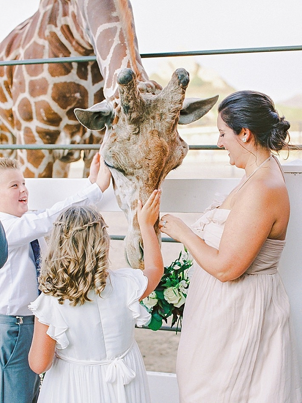 Wedding giraffe
