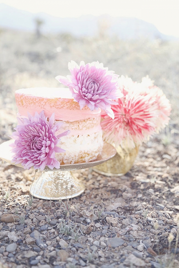 Pale Pink Naked Cake In Las Vegas Desert Lissables Photography