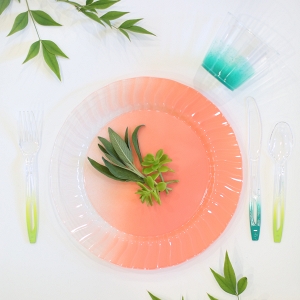 Ombre disposable dinnerware
