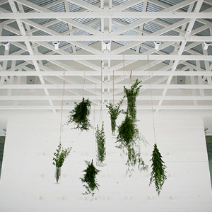Suspended Greenery