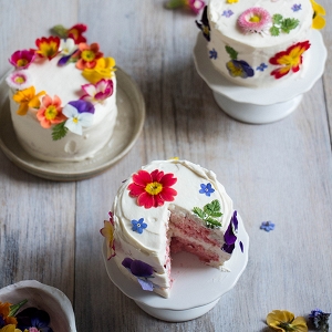 Mini ombré layer cakes with edible flowers