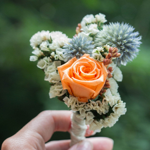 Peach Rose And Thistle Boutonniere