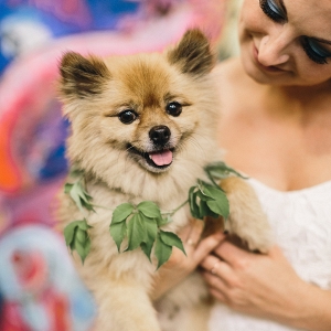 Pomeranian puppy with a foliage collar