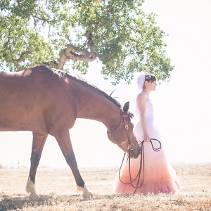 Ombré Wedding Dress | Photo by Phillip Van Nostrand