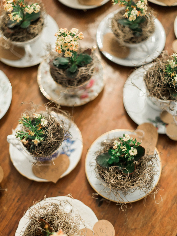 Plant favors from The Budget Savvy Bride