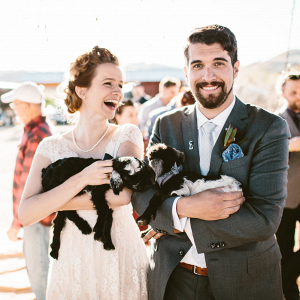 Wedding Photo with Baby GoatsWedding Photo with Baby Goats