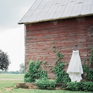 Wedding Dress Shot on A Vineyard