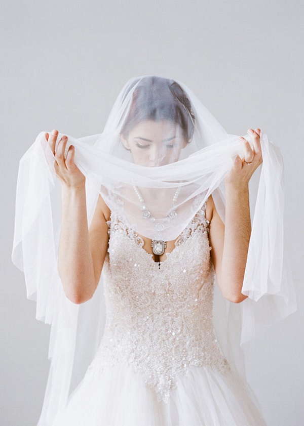 Cathedral Length Tulle Bridal Veil
