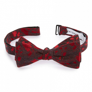 Abstract Bow Tie