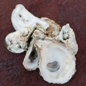 Engagement ring on oyster shells