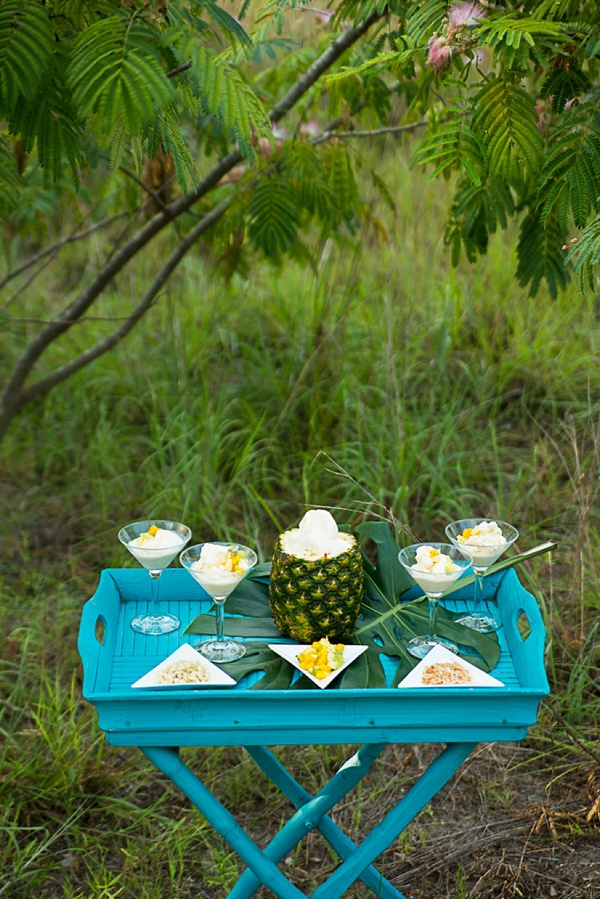 Pineapple ice cream bar