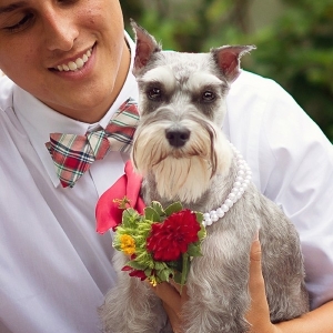 Dog with flower collar