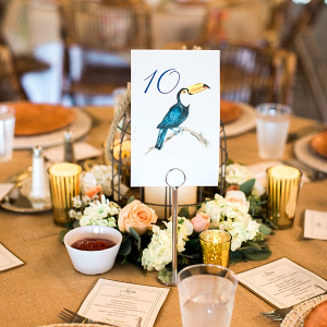 Rustic tropical toucan table number