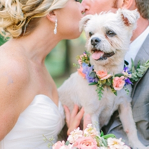 Wedding dog with flower collar