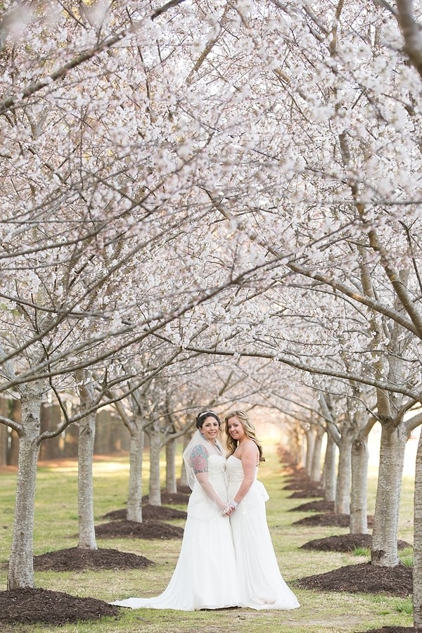 Two brides with cherry blossom trees
