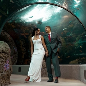 Husband and wife in aquarium tunnel