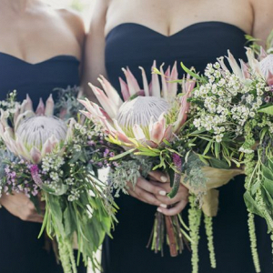 Protea bridesmaid bouquets