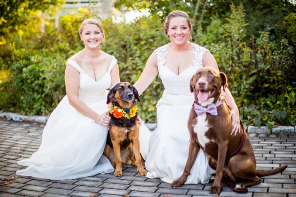 Brides with dogs