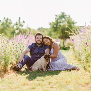 dogs in engagement photos