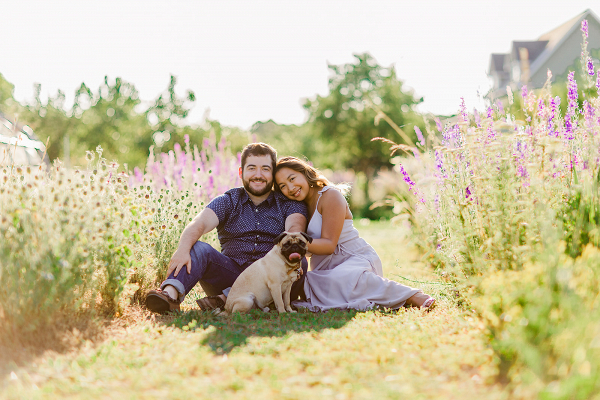 dogs in engagement photos
