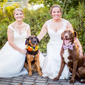 Brides with their pups