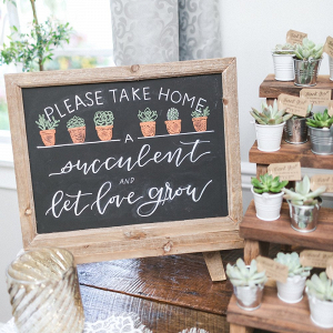 Succulent wedding favors